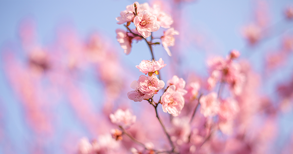 塔羅牌四月份桃花運